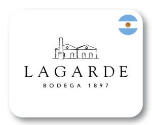 LAGARTE-1-300x246