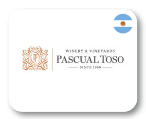 PASCUAL-1-300x246